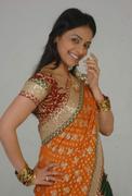 Actress Rricha Pallod in Saree Photos 